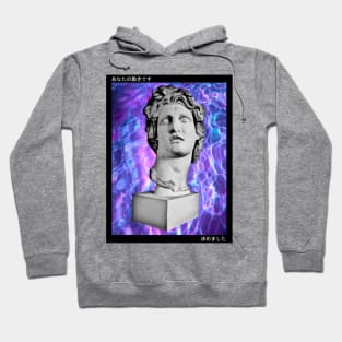 Vaporwave Aesthetic Seapunk Ecco Macintosh Hoodie